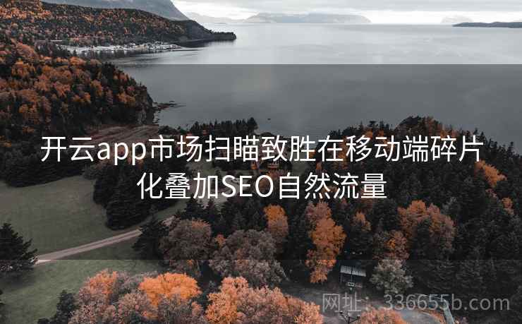 开云app市场扫瞄致胜在移动端碎片化叠加SEO自然流量