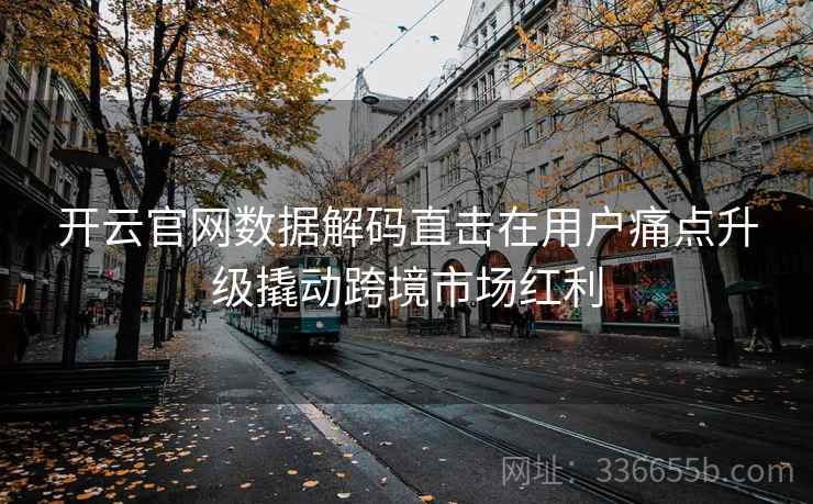 开云官网数据解码直击在用户痛点升级撬动跨境市场红利