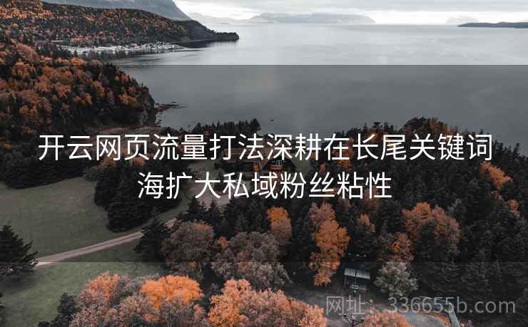 开云网页流量打法深耕在长尾关键词海扩大私域粉丝粘性