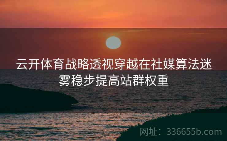 云开体育战略透视穿越在社媒算法迷雾稳步提高站群权重