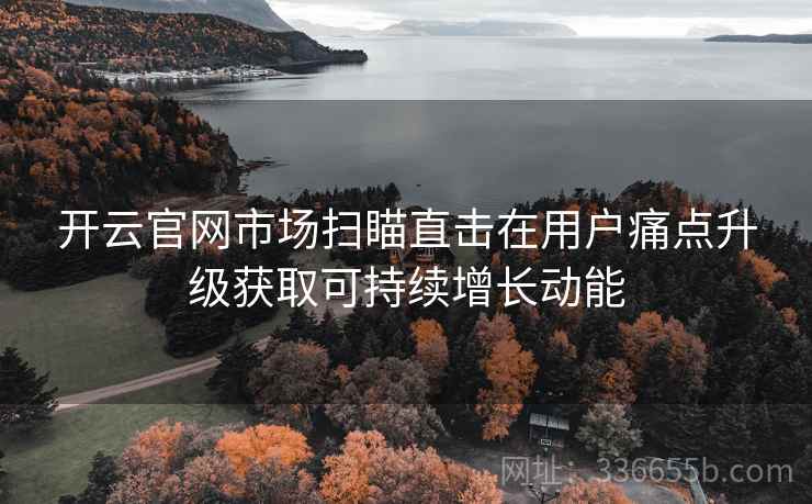 开云官网市场扫瞄直击在用户痛点升级获取可持续增长动能