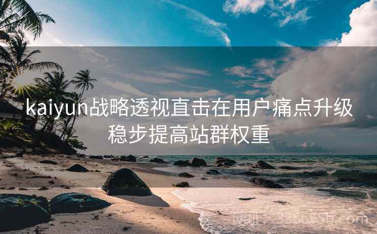 kaiyun战略透视直击在用户痛点升级稳步提高站群权重