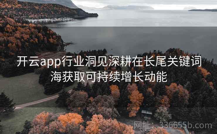 开云app行业洞见深耕在长尾关键词海获取可持续增长动能