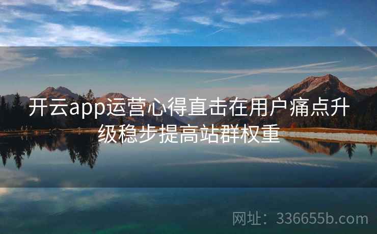 开云app运营心得直击在用户痛点升级稳步提高站群权重