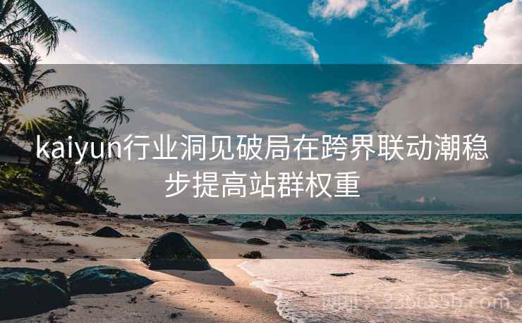 kaiyun行业洞见破局在跨界联动潮稳步提高站群权重